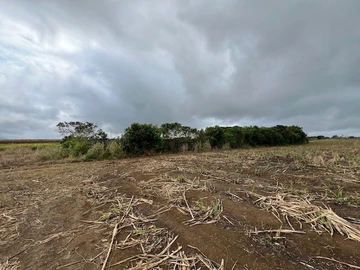 Terrain Agricole