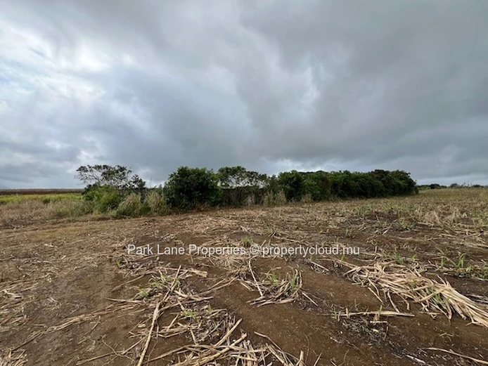 Transformative Potential: Trianon’s Agricultural Land Near Verdun Highway