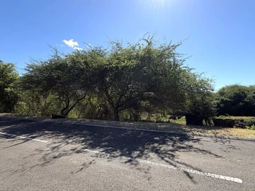 Residential Land