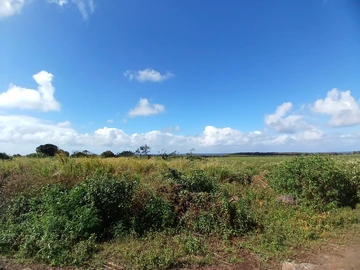 Terrain Agricole