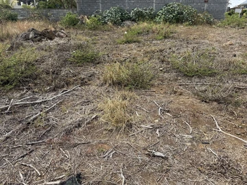 Residential Land