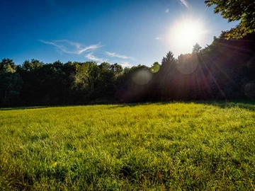 Residential Land