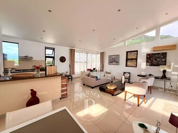 4 Bedroom Penthouse