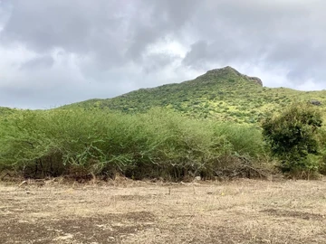Terrain Résidentiel