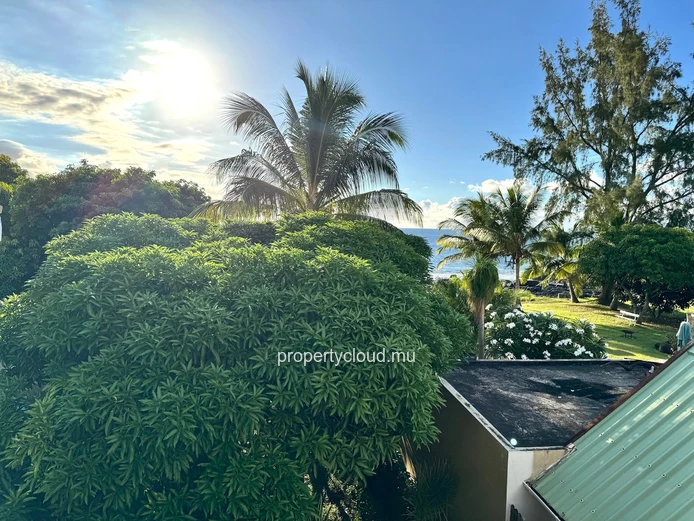 Exclusivité – Flic En Flac – Bien Rare En Bord De Mer
