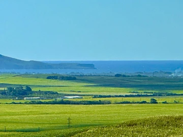 Land