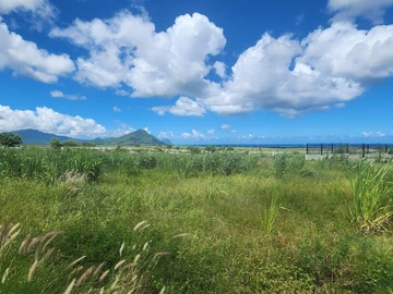 Residential Land
