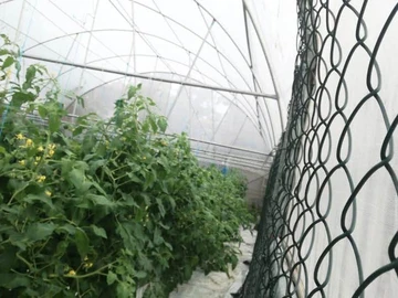 Residential Land