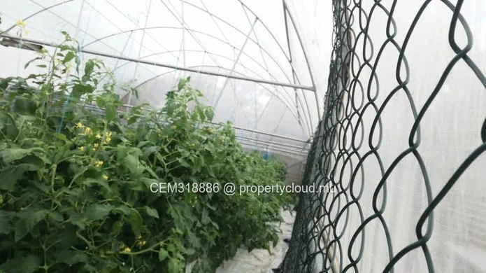 8.47 Perches Residential Land for Sale with Fully Equipped Greenhouse – Rivière des Anguilles