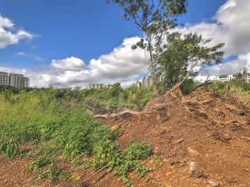 Terrain Résidentiel