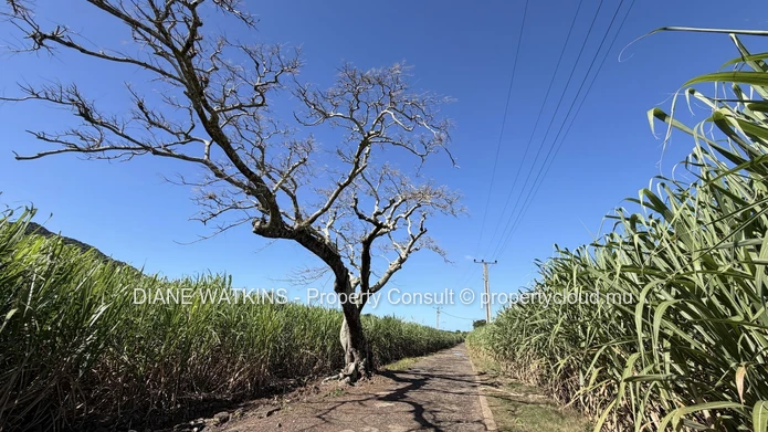 Terrain de 12 580 m² avec vue sur la montagne à vendre à Anse Jonchée, île Maurice | Opportunité éco-responsable et a...