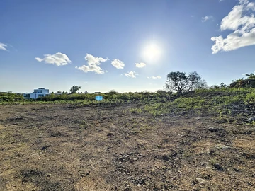 Terrain