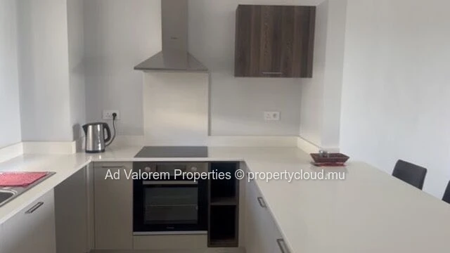 Appartement meublé de 2 chambres avec vue panoramique à louer!