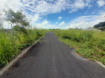 Land