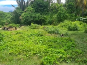 Residential Land