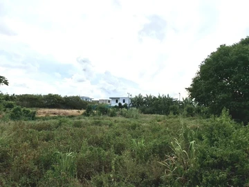 Residential Land