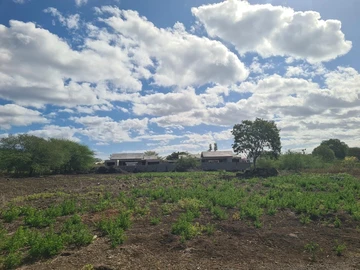 Residential Land