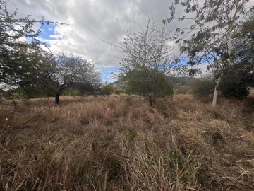 Residential Land