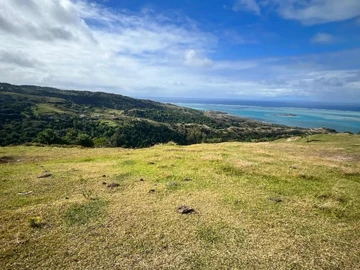 Commercial Land