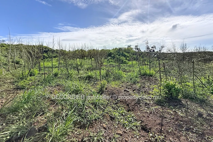Terrain Résidentiel à Vendre – Grand Gaube