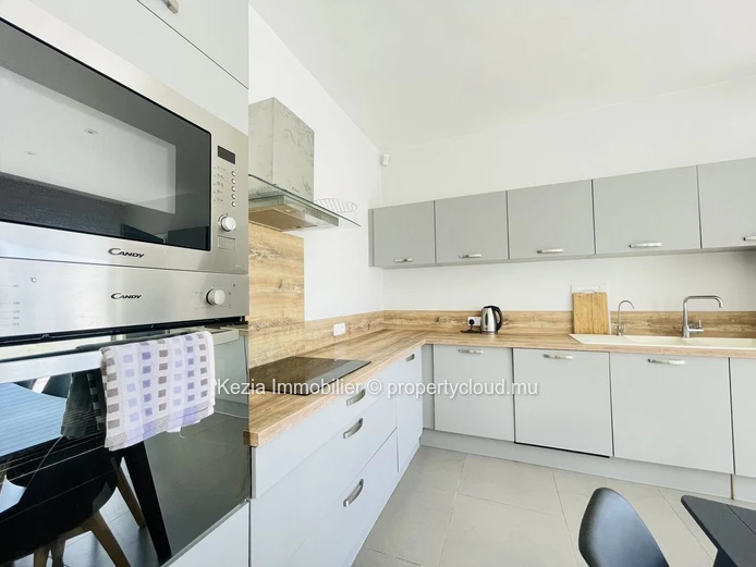 Contemporary Apartment