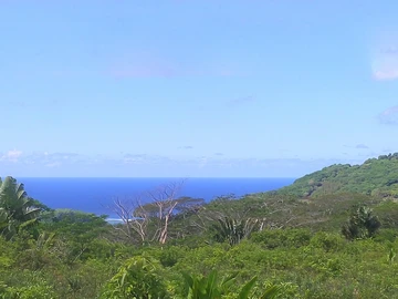Land