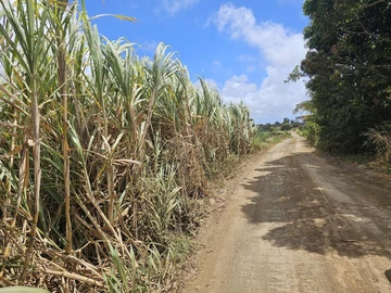 Agricultural Land
