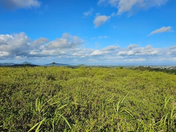 Agricultural Land