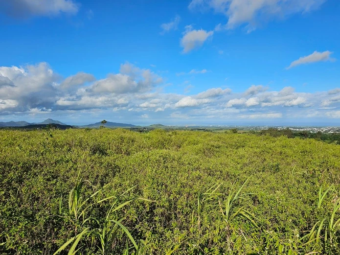 5 arpents 28 perches of agricultural land  Panoramic mountain & sea view