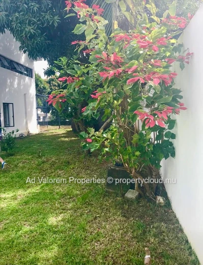 Grande maison a vendre -Balfour Beau Bassin