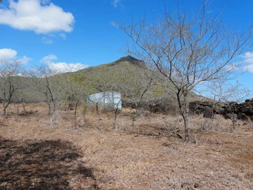 Terrain