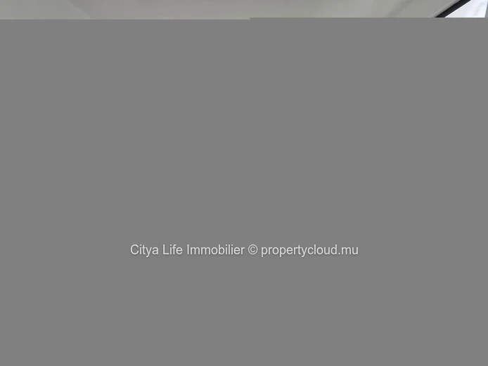 "Stunning Home with Private Pool in Grand Gaube - 250m² Living Area - Rs 11.5M"