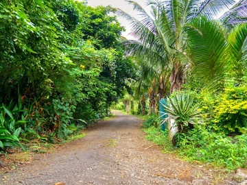 EXCLUSIVITY - Last opportunity to seize in Baie du Cap !!!