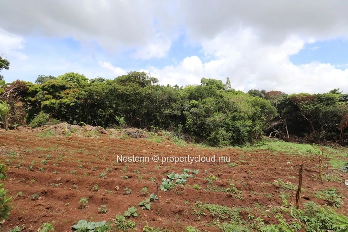 Residential land with mountain views with riverlet