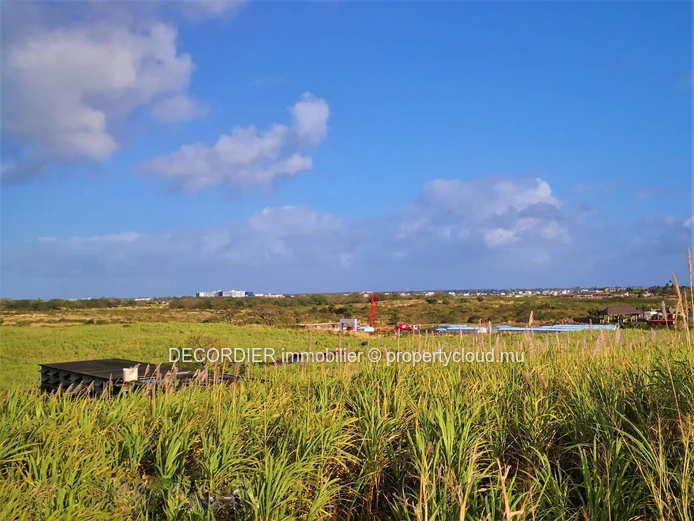 A vendre terrain agricole de 3.5 Arpents – Mont Mascal - Grand Baie
