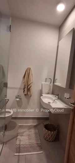 Penthouse en Vente