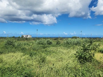 Residential Land