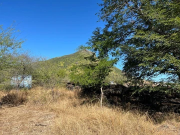 Residential Land