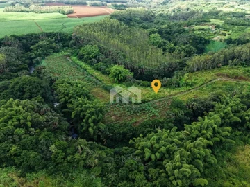 Agricultural Land