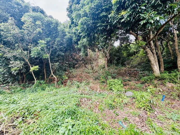 Land for sale in Moka's natural environment