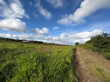 Agricultural Land