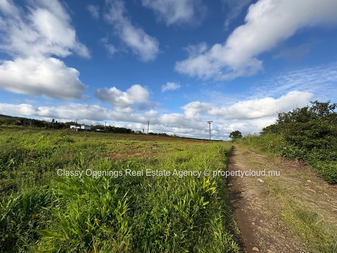 12,268 m² Cultivable Land with Mountain View & Greenhouses