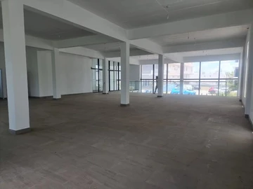 Immobilier Commerciaux
