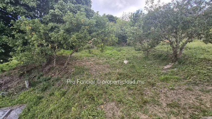 Maison à vendre à Rodrigues - Vue dégagée et vaste jardin