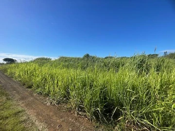 Agricultural Land