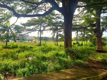 Land