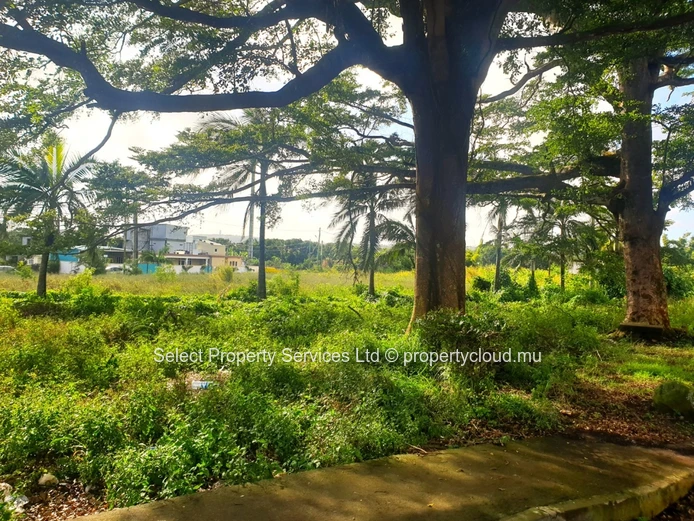 Commercial Land for Sale, Royal Road, Henrietta, Vacoas