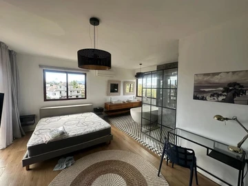 3 Bedroom Penthouse