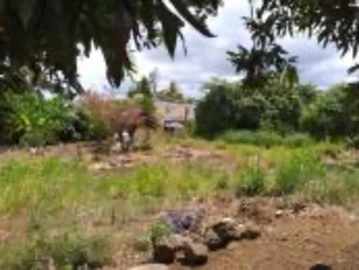 Residential Land