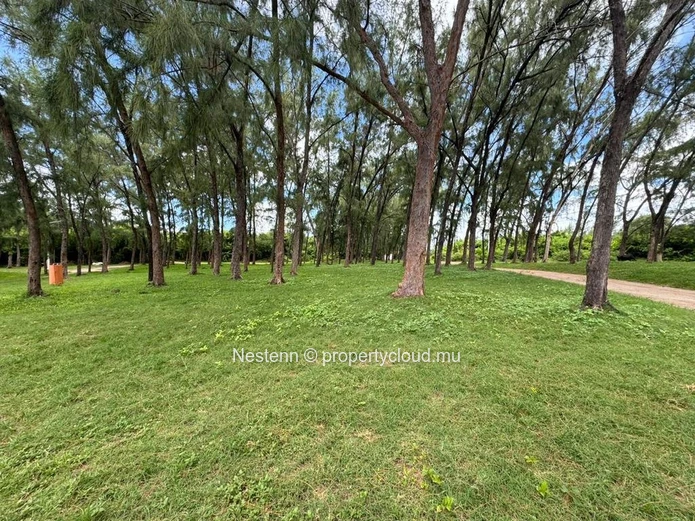 Terrain agricole en bord de mer de 5813 m² 